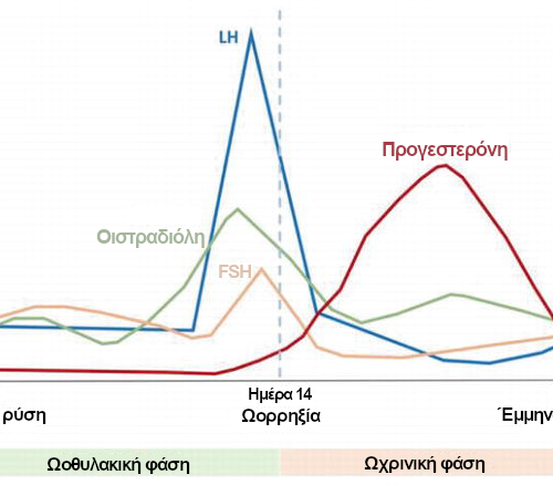 Ορμόνες και γυναίκα