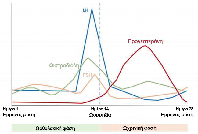 hormones Ορμόνες και γυναίκα